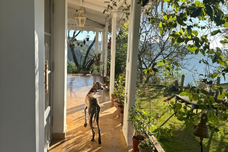 La Maison